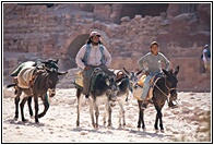 Donkey Drivers