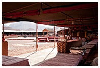 Desert Camp