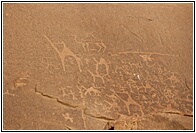 Ancient Inscriptions