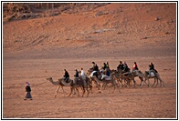 Camel Travel