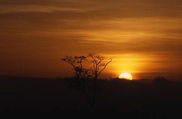 Aberdares Dawn