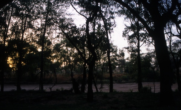 Night at Samburu