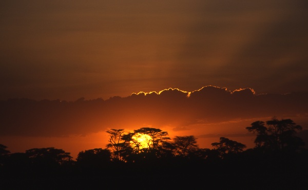 Amboseli Sunset