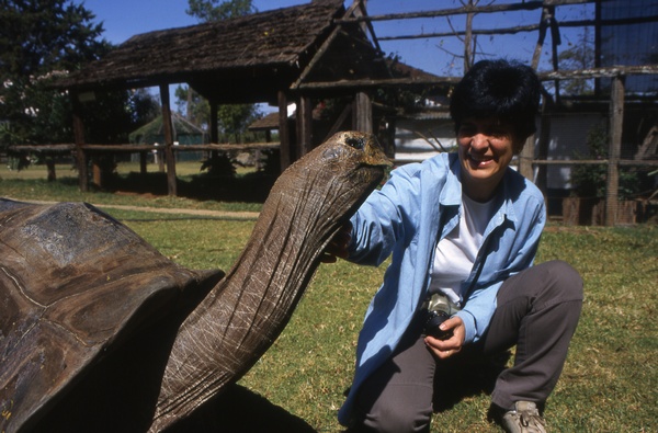 Hundred-Year-Old Turtle