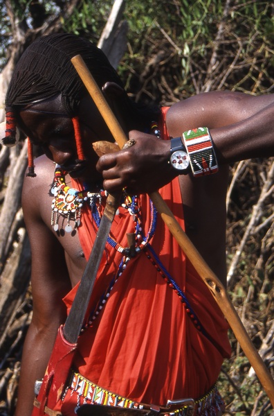 Maasai Warrior