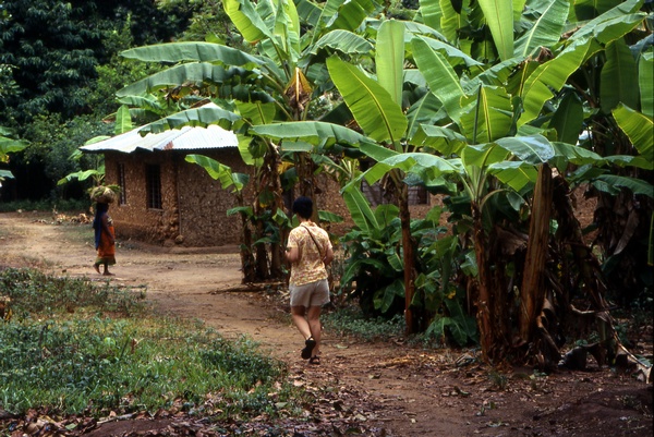 Spice Plantation