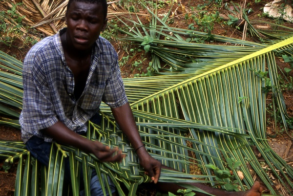 Plait Palms