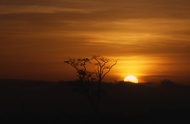 Aberdares Dawn