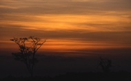Aberdares Dawn