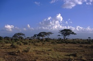 Amboseli National Park