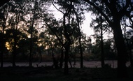 Night at Samburu