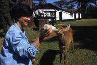 Feeding a Baby