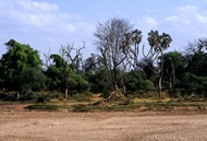 Dry River