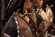 Shields