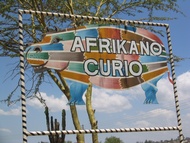 Curio Shop