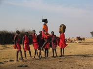 Maasai Warriors