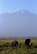 Amboseli National Park