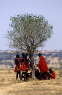 Masai People