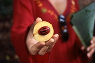 Nutmeg