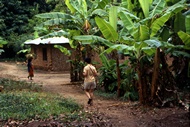 Spice Plantation