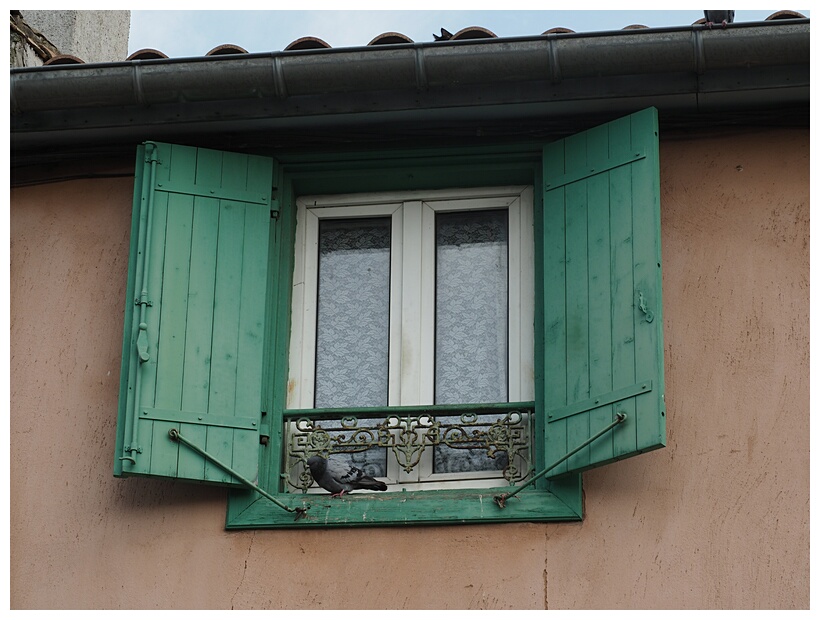 Window