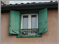 Window