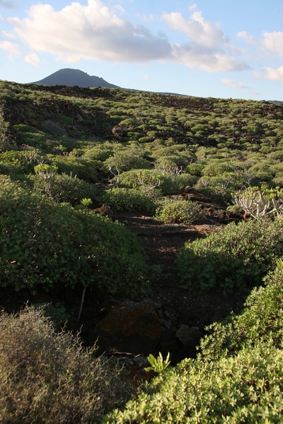 Paisaje Lanzaroteo