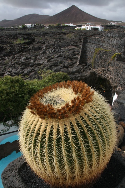 Jardn Volcnico