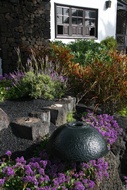 Jardn de los Jameos