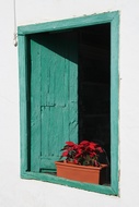 Ventana Navidea
