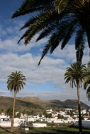 Palmeras en Hara