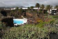 Piscina y Jardines