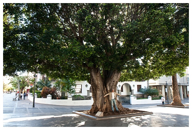 Laurel Gigante