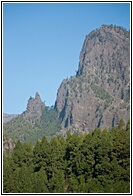 El Bejenao