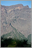 Paredes Verticales