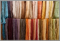 Brillantes Colores