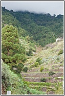 Santuario de la Virgen de las Nieves