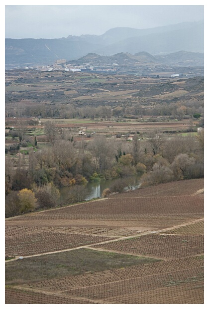 Viedos Riojanos
