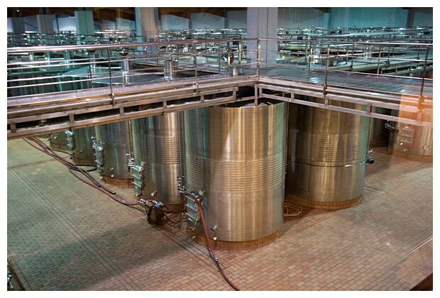 Interior de la Bodega