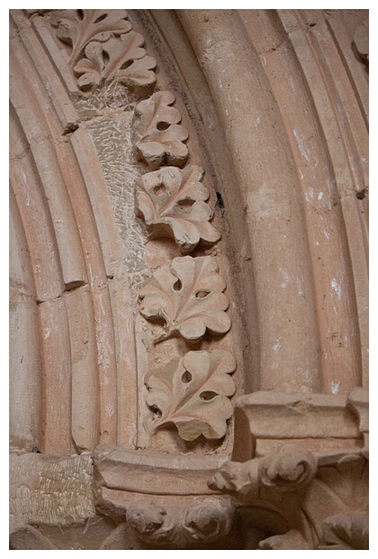 Decoracin Vegetal