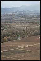Viedos Riojanos