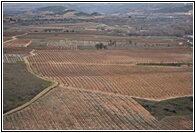 Gran Reserva