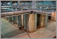Interior de la Bodega