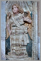 Angelote