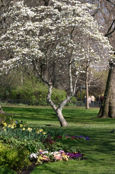 Primavera en St.James Park