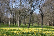Saint James Park