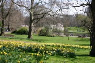Saint James Park