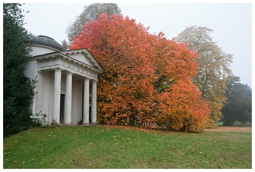 Autumn