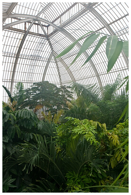 Palm House