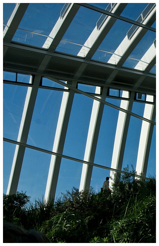 Sky Garden